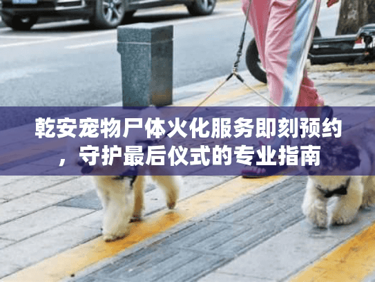 乾安宠物尸体火化服务即刻预约,守护最后仪式的专业指南 乾安宠物尸体火化服务即刻预约,守护最后仪式的专业指南