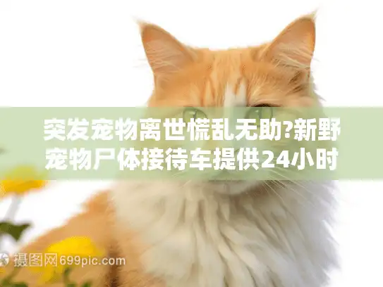 突发宠物离世慌乱无助?新野宠物尸体接待车提供24小时专车上门服务