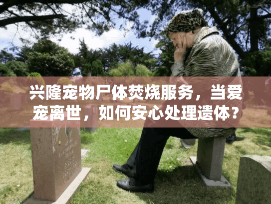 兴隆宠物尸体焚烧服务，当爱宠离世，如何安心处理遗体？