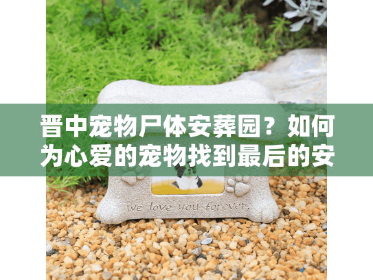 晋中宠物尸体安葬园？如何为心爱的宠物找到最后的安息之地