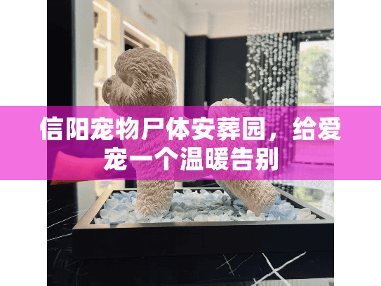 信阳宠物尸体安葬园，给爱宠一个温暖告别