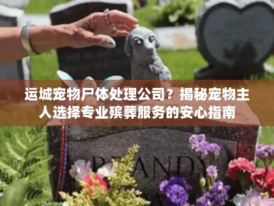 运城宠物尸体处理公司？揭秘宠物主人选择专业殡葬服务的安心指南