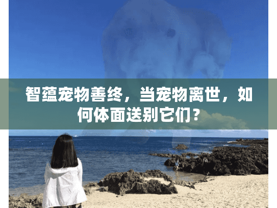 智蕴宠物善终，当宠物离世，如何体面送别它们？