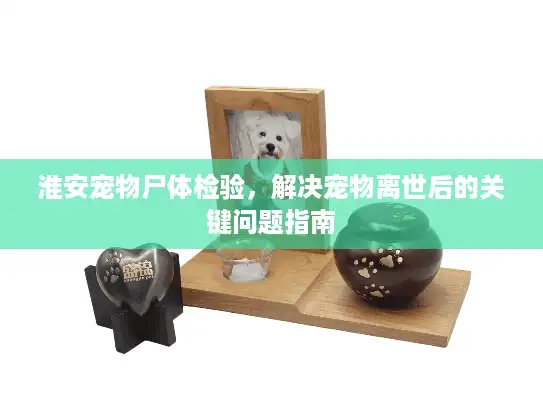 淮安宠物尸体检验，解决宠物离世后的关键问题指南