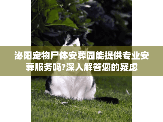 泌阳宠物尸体安葬园能提供专业安葬服务吗?深入解答您的疑虑