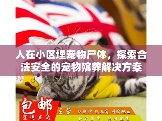 人在小区埋宠物尸体，探索合法安全的宠物殡葬解决方案