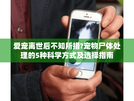 爱宠离世后不知所措?宠物尸体处理的5种科学方式及选择指南 爱宠离世后不知所措?宠物尸体处理的5种科学方式及选择指南