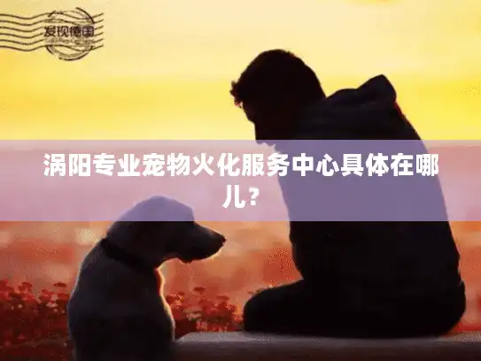 涡阳专业宠物火化服务中心具体在哪儿？