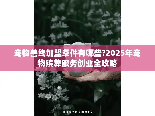 宠物善终加盟条件有哪些?2025年宠物殡葬服务创业全攻略 宠物善终加盟条件有哪些?2025年宠物殡葬服务创业全攻略