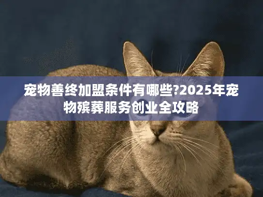 宠物善终加盟条件有哪些?2025年宠物殡葬服务创业全攻略 宠物善终加盟条件有哪些?2025年宠物殡葬服务创业全攻略