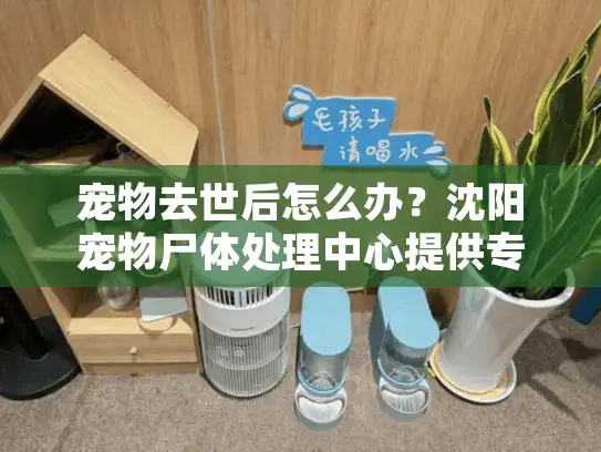 宠物去世后怎么办？沈阳宠物尸体处理中心提供专业宠物殡葬服务