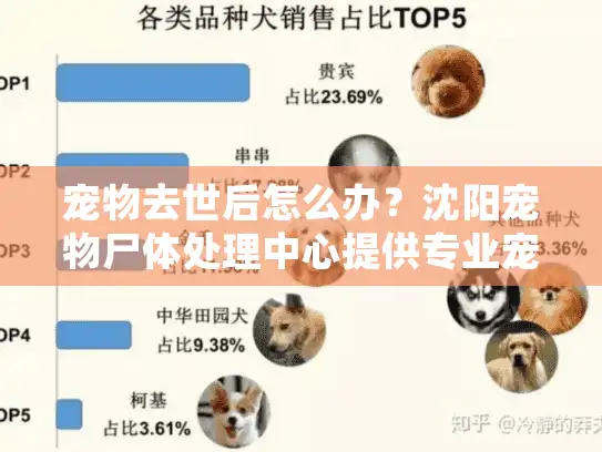 宠物去世后怎么办？沈阳宠物尸体处理中心提供专业宠物殡葬服务