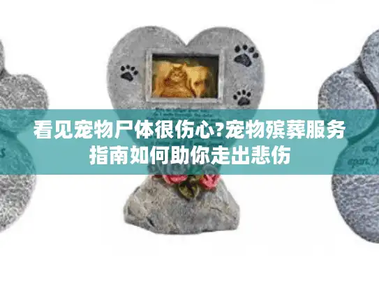 看见宠物尸体很伤心?宠物殡葬服务指南如何助你走出悲伤 看见宠物尸体很伤心?宠物殡葬服务指南如何助你走出悲伤