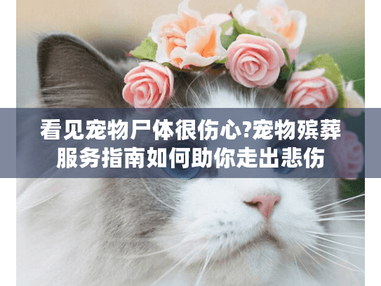 看见宠物尸体很伤心?宠物殡葬服务指南如何助你走出悲伤 看见宠物尸体很伤心?宠物殡葬服务指南如何助你走出悲伤