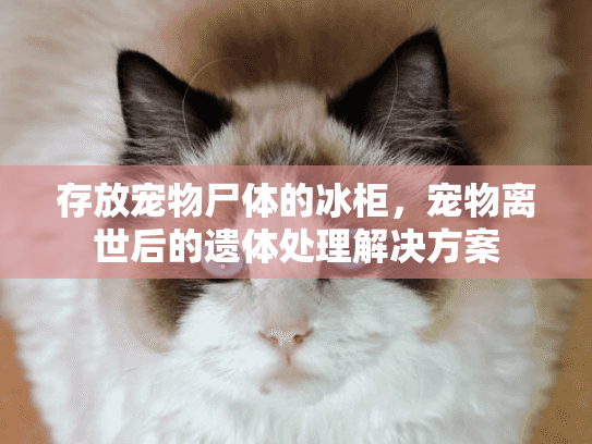 存放宠物尸体的冰柜，宠物离世后的遗体处理解决方案