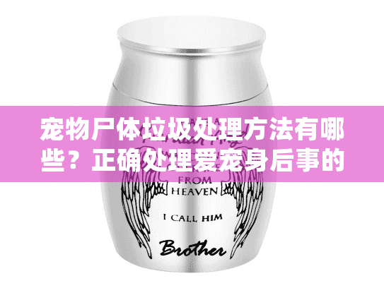 宠物尸体垃圾处理方法有哪些?正确处理爱宠身后事的完整指南 宠物尸体垃圾处理方法有哪些?正确处理爱宠身后事的完整指南