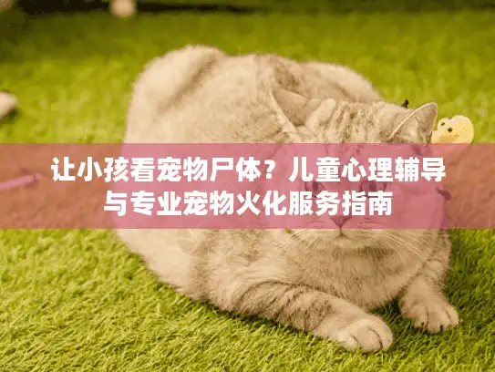 让小孩看宠物尸体?儿童心理辅导与专业宠物火化服务指南 让小孩看宠物尸体?儿童心理辅导与专业宠物火化服务指南