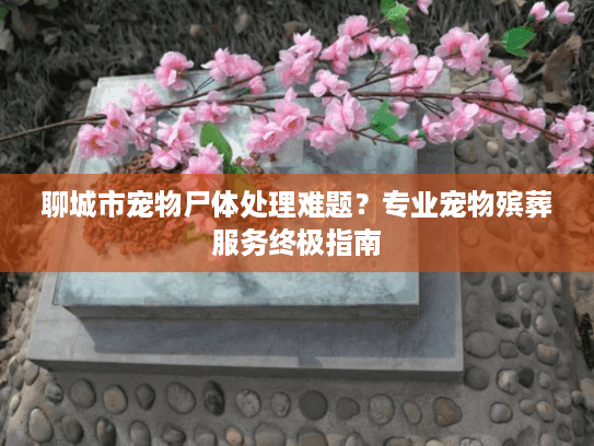 聊城市宠物尸体处理难题？专业宠物殡葬服务终极指南