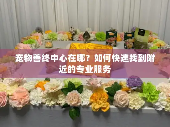 宠物善终中心在哪?如何快速找到附近的专业服务 宠物善终中心在哪?如何快速找到附近的专业服务