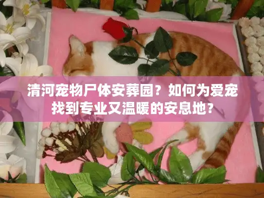 清河宠物尸体安葬园?如何为爱宠找到专业又温暖的安息地? 清河宠物尸体安葬园?如何为爱宠找到专业又温暖的安息地?