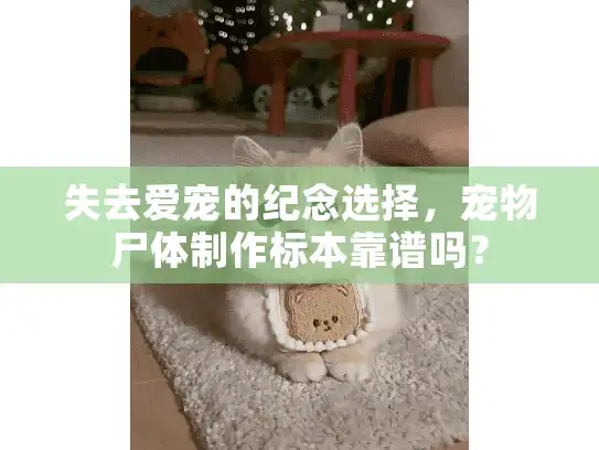 失去爱宠的纪念选择,宠物尸体制作标本靠谱吗? 失去爱宠的纪念选择,宠物尸体制作标本靠谱吗?