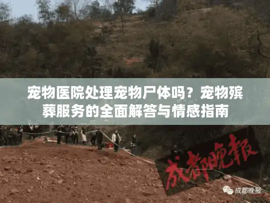 宠物医院处理宠物尸体吗？宠物殡葬服务的全面解答与情感指南