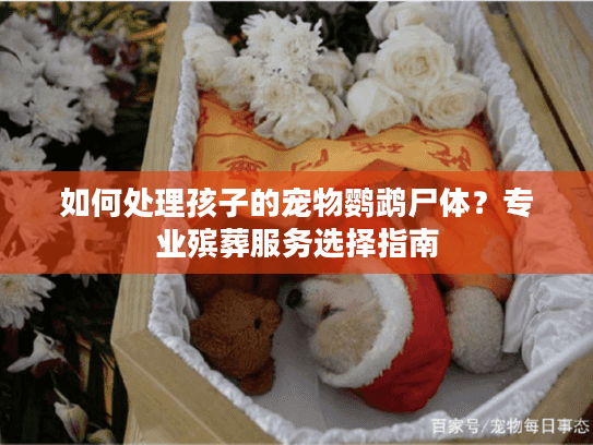 如何处理孩子的宠物鹦鹉尸体？专业殡葬服务选择指南