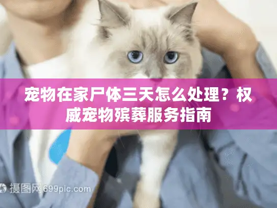 宠物在家尸体三天怎么处理？权威宠物殡葬服务指南