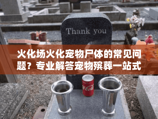 火化场火化宠物尸体的常见问题？专业解答宠物殡葬一站式方案