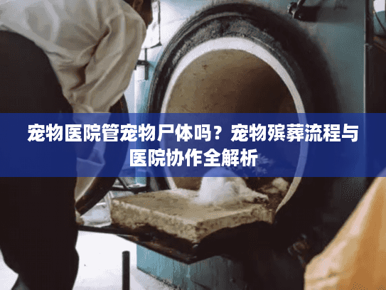 宠物医院管宠物尸体吗？宠物殡葬流程与医院协作全解析