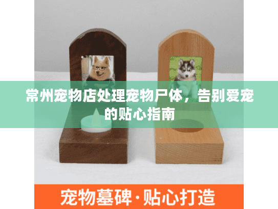 常州宠物店处理宠物尸体，告别爱宠的贴心指南