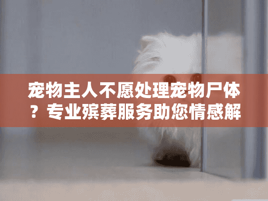 宠物主人不愿处理宠物尸体?专业殡葬服务助您情感解脱 宠物主人不愿处理宠物尸体?专业殡葬服务助您情感解脱