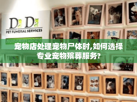 宠物店处理宠物尸体时,如何选择专业宠物殡葬服务? 宠物店处理宠物尸体时,如何选择专业宠物殡葬服务?