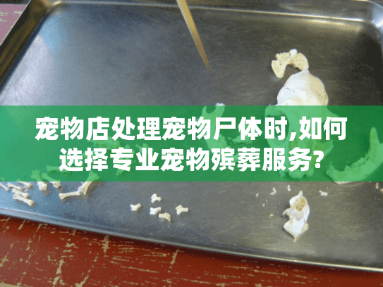 宠物店处理宠物尸体时,如何选择专业宠物殡葬服务? 宠物店处理宠物尸体时,如何选择专业宠物殡葬服务?
