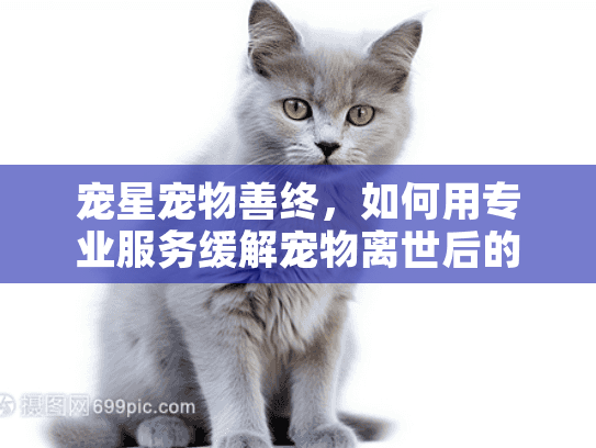 宠星宠物善终,如何用专业服务缓解宠物离世后的悲伤? 宠星宠物善终,如何用专业服务缓解宠物离世后的悲伤?
