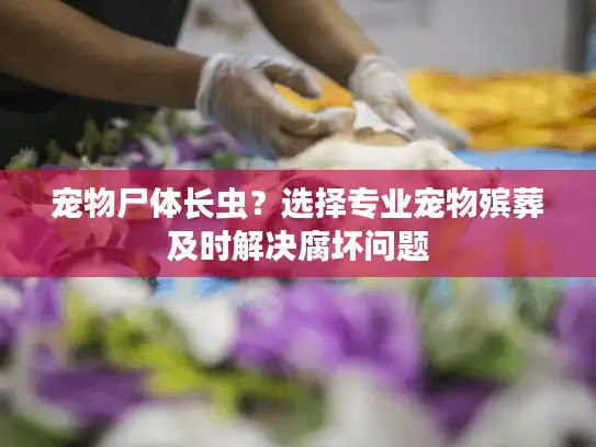 宠物尸体长虫?选择专业宠物殡葬及时解决腐坏问题 宠物尸体长虫?选择专业宠物殡葬及时解决腐坏问题