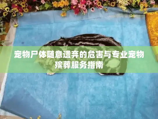 宠物尸体随意遗弃的危害与专业宠物殡葬服务指南 宠物尸体随意遗弃的危害与专业宠物殡葬服务指南