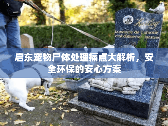 启东宠物尸体处理痛点大解析，安全环保的安心方案