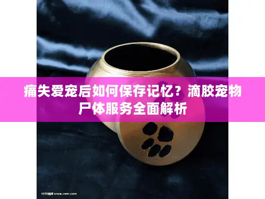 痛失爱宠后如何保存记忆？滴胶宠物尸体服务全面解析