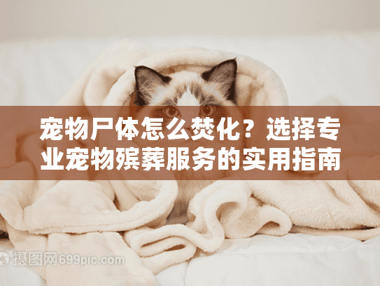 宠物尸体怎么焚化？选择专业宠物殡葬服务的实用指南