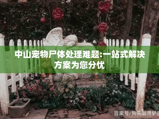 中山宠物尸体处理难题:一站式解决方案为您分忧 中山宠物尸体处理难题:一站式解决方案为您分忧