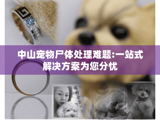 中山宠物尸体处理难题:一站式解决方案为您分忧 中山宠物尸体处理难题:一站式解决方案为您分忧