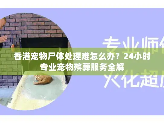 香港宠物尸体处理难怎么办？24小时专业宠物殡葬服务全解