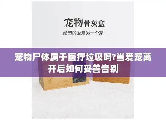 宠物尸体属于医疗垃圾吗?当爱宠离开后如何妥善告别