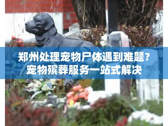 郑州处理宠物尸体遇到难题？宠物殡葬服务一站式解决