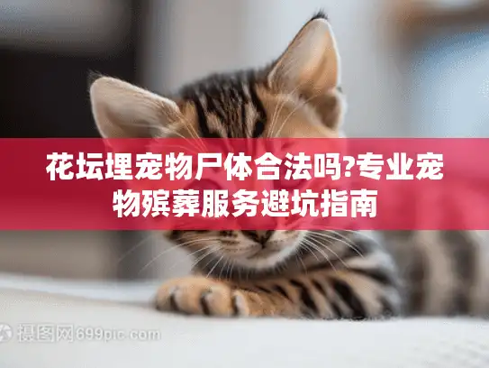 花坛埋宠物尸体合法吗?专业宠物殡葬服务避坑指南 花坛埋宠物尸体合法吗?专业宠物殡葬服务避坑指南