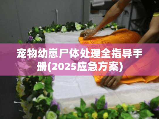 宠物幼崽尸体处理全指导手册(2025应急方案)