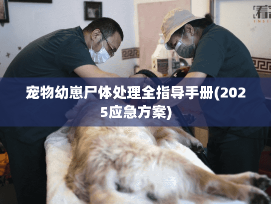 宠物幼崽尸体处理全指导手册(2025应急方案)