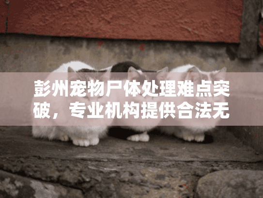 彭州宠物尸体处理难点突破，专业机构提供合法无害化方案