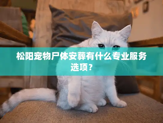 松阳宠物尸体安葬有什么专业服务选项？